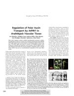 Regulation of Polar Auxin Transport by AtPIN1 in Arabidopsis Vascular Tissue