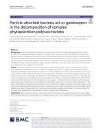 Particle-attached bacteria act as gatekeepers in the decomposition of complex phytoplankton polysaccharides
