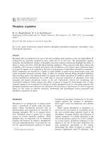 Phosphate acquisition