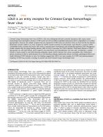 LDLR is an entry receptor for Crimean-Congo hemorrhagic fever virus