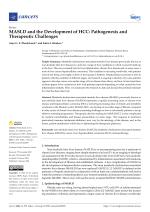 MASLD and the Development of HCC: Pathogenesis and Therapeutic Challenges