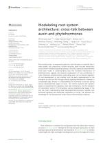 Modulating root system architecture: cross-talk between auxin and phytohormones