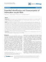 Expanded identification and characterization of mammalian circular RNAs