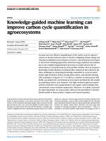 Knowledge-guided machine learning can improve carbon cycle quantification in agroecosystems