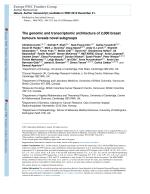 The genomic and transcriptomic architecture of 2,000 breast tumours reveals novel subgroups