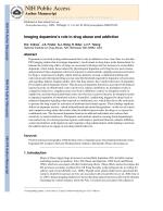 Imaging dopamine's role in drug abuse and addiction