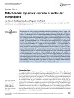 Mitochondrial dynamics: overview of molecular mechanisms