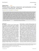 Wnt/β-catenin signaling components and mechanisms in bone formation, homeostasis, and disease