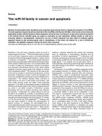 The miR-34 family in cancer and apoptosis