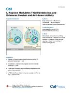 L-Arginine Modulates T Cell Metabolism and Enhances Survival and Anti-tumor Activity
