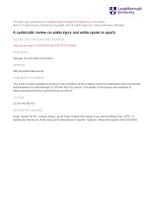A systematic review on ankle injury and ankle sprain in sports