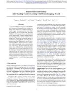 Feature Reuse and Scaling: Understanding Transfer Learning with Protein Language Models