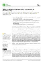 Sugarcane Bagasse: Challenges and Opportunities for Waste Recycling