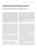 Chronic Stress Induces Contrasting Patterns of Dendritic Remodeling in Hippocampal and Amygdaloid Neurons