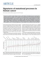 Signatures of mutational processes in human cancer