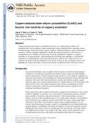 Copper-catalyzed azide–alkyne cycloaddition (CuAAC) and beyond: new reactivity of copper(I) acetylides