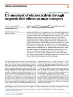 Enhancement of electrocatalysis through magnetic field effects on mass transport