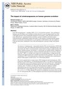 The impact of retrotransposons on human genome evolution