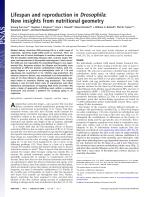 Lifespan and reproduction in Drosophila: New insights from nutritional geometry