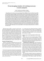 Neuroimaging studies of working memory: A meta-analysis