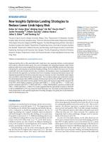 New Insights Optimize Landing Strategies to Reduce Lower Limb Injury Risk