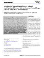 Mitochondria-Targeted Nanoadjuvants Induced Multi-Functional Immune-Microenvironment Remodeling to Sensitize Tumor Radio-Immunotherapy