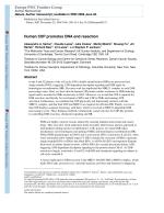 Human CtIP promotes DNA end resection