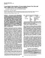 Cross-family dimerization of transcription factors Fos/Jun and ATF/CREB alters DNA binding specificity