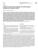 Oxidative stress and autophagy: the clash between damage and metabolic needs