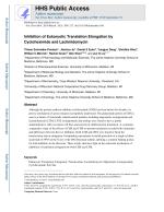 Inhibition of Eukaryotic Translation Elongation by Cycloheximide and Lactimidomycin