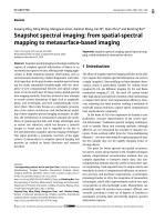 Snapshot spectral imaging: from spatial-spectral mapping to metasurface-based imaging