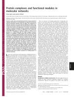 Protein complexes and functional modules in molecular networks