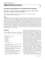 Leveraging mechanochemistry for sustainable polymer degradation