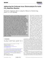 Addressing the Carbonate Issue: Electrocatalysts for Acidic CO₂ Reduction Reaction
