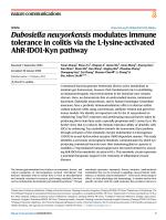 Dubosiella newyorkensis modulates immune tolerance in colitis via the L-lysine-activated AhR-IDO1-Kyn pathway