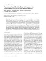 Dynamin-related Protein Drp1 Is Required for Mitochondrial Division in Mammalian Cells