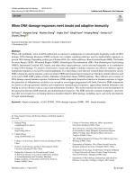 When DNA-damage responses meet innate and adaptive immunity