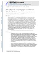 Cell cycle proteins as promising targets in cancer therapy