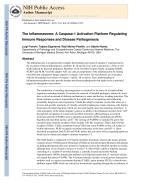 The Inflammasome: A Caspase-1 Activation Platform Regulating Immune Responses and Disease Pathogenesis