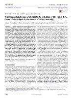 Progress and challenges of photocatalytic reduction of CO2 with g-C3N4-based photocatalysts in the context of carbon neutrality