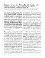 Evidence for van der Waals adhesion in gecko setae
