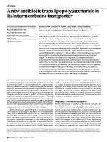 A new antibiotic traps lipopolysaccharide in its intermembrane transporter