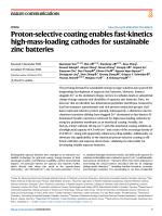 Proton-selective coating enables fast-kinetics high-mass-loading cathodes for sustainable zinc batteries