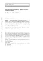 A Review of Feature Selection Methods Based on Mutual Information