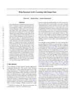 Deep Bayesian Active Learning with Image Data