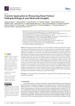 Current Approaches to Worsening Heart Failure: Pathophysiological and Molecular Insights
