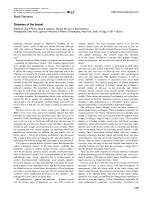 Diseases of the breast