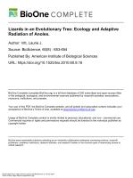 Lizards in an Evolutionary Tree: Ecology and Adaptive Radiation of Anoles.