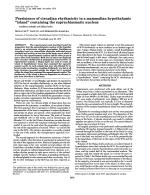 Persistence of circadian rhythmicity in a mammalian hypothalamic "island" containing the suprachiasmatic nucleus
