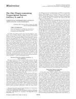 The Zinc Finger-containing Transcription Factors GATA-4, -5, and -6